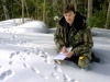 Зимние учеты в национальном парке «Шушенский Бор»